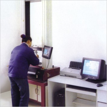 Trumony Aluminum Limited manufacturer production line